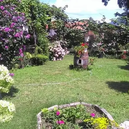 Picioski Guest house